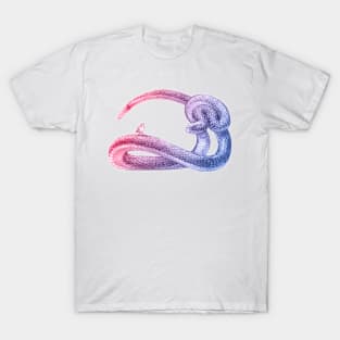 Hey, Little Songbird (red&blue) T-Shirt